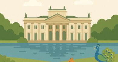 Grafika przedstawiająca Łazienki Królewskie w Warszawie z wiewiórką i pawiem